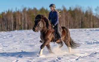 Horseback riding tour in North Iceland during winter.