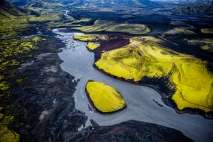 Nature's contrasting palette: lush greenery against volcanic black, a striking harmony found in Iceland's highlands.