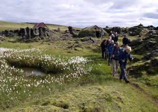 Hikers passing through a lava field with lush vegetation in the Highlands of Iceland.
