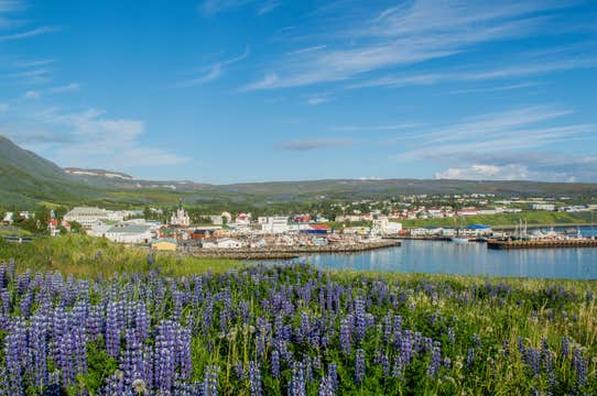 Private North Iceland Photography Tour with Round-trip Transfers from Akureyri Port