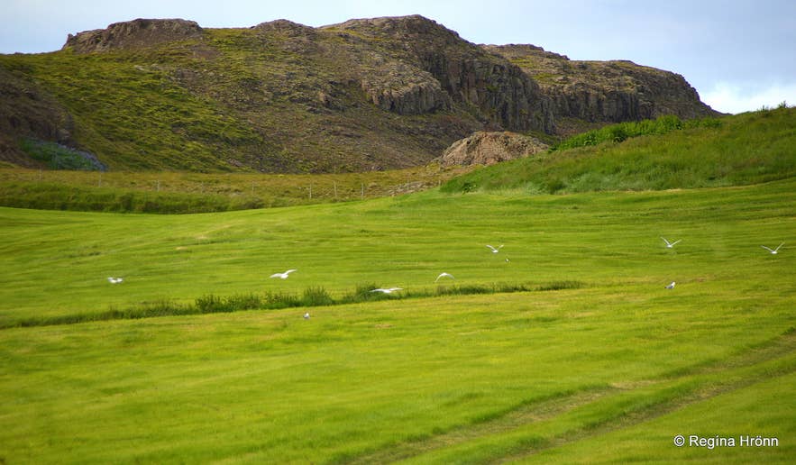 Ancient Archaeological Viking Ruins I have visited on my Travels in Iceland