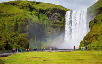 Skogafoss Waterfall plunging from a tall cliff on Iceland's South Coast.