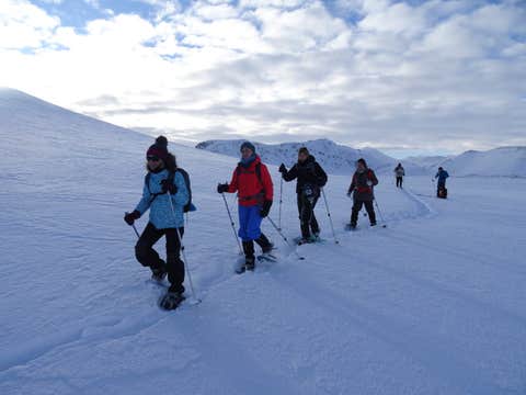 Small Group Snowshoe Hiking Tour in Eyjafjordur Area from Akureyri