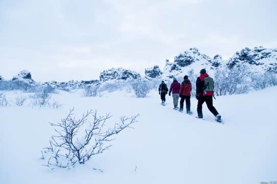 Small Group Snowshoe Hiking Tour in Eyjafjordur Area from Akureyri