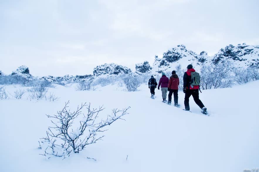 Hikers dressed in warm layers on a snowy winter trail in Eyjafjordur, North Iceland