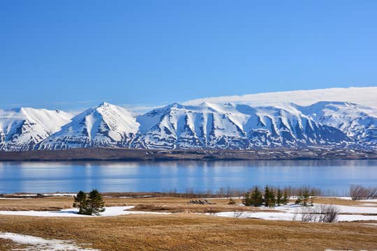 Small Group Snowshoe Hiking Tour in Eyjafjordur Area from Akureyri