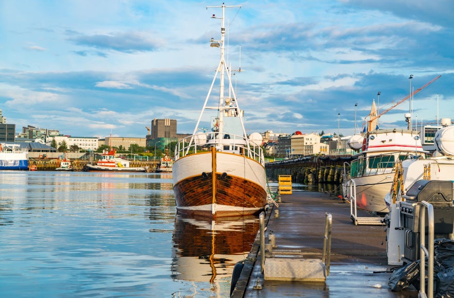 The old harbor of Reykjavik is bustling with activity