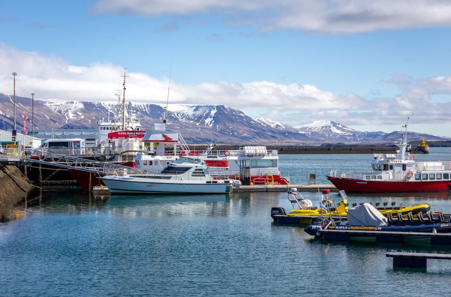 You'll find plenty of great restaurants in downtown Reykjavik