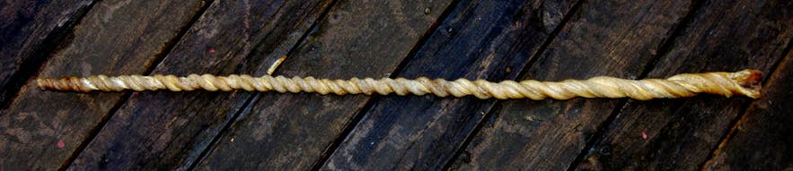 A twisted, rope-like bullwhip made from bull penis skin. A twisted, rope-like bullwhip made from bull penis skin.
