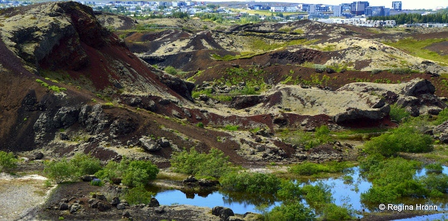 红石峰火山口的美丽景点