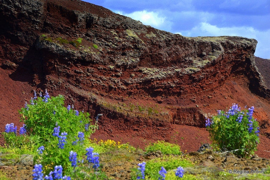 夏日的红石峰假火山口