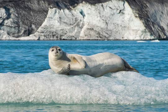 3-Day Tour To Jokulsarlon | The Golden Circle, the South Coast, Glacier Hike & Boat Tour