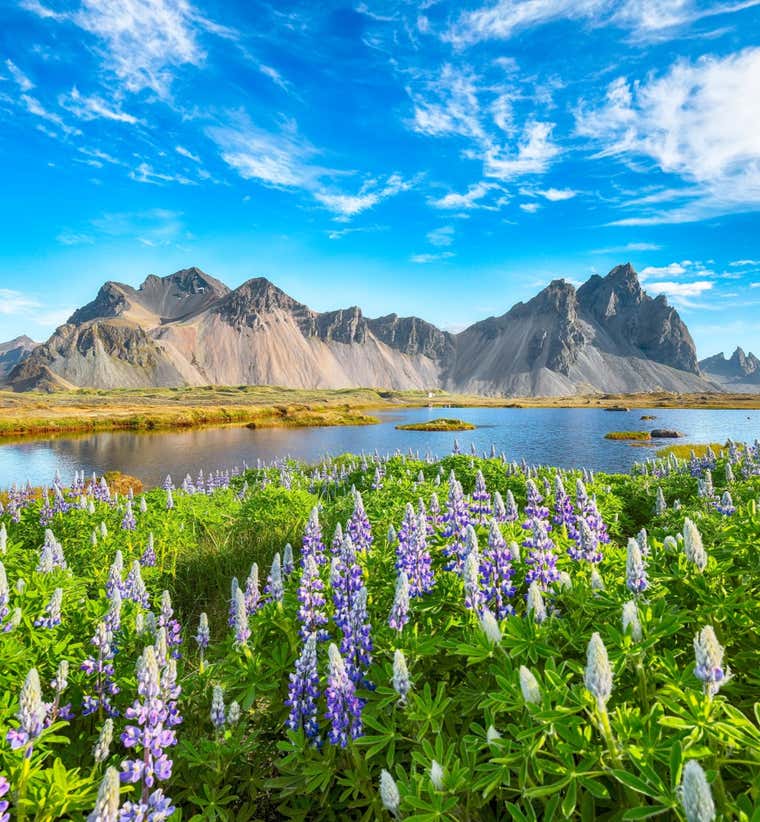 Alles, was du für dein Traumabenteuer in Island brauchst, an einem Ort (und das zu den besten Preisen)