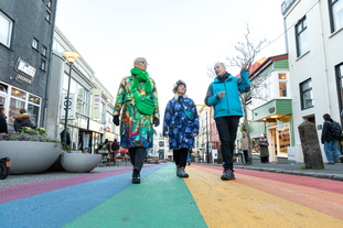 Visite Guidée de 2 heures à Reykjavik avec un Viking