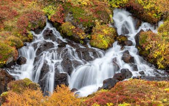 Hraunfossar Waterfall flowing through lava rocks with autumn colors in West Iceland.