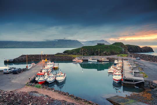 Private Silver Circle Tour with Hvammsvik Hot Springs from Reykjavik