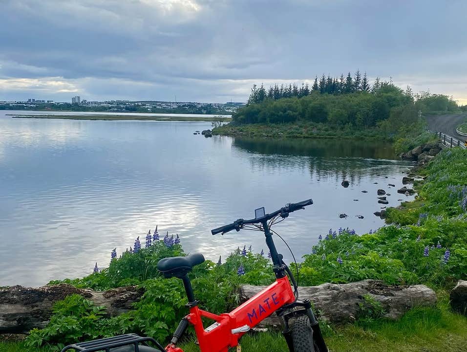 Electric bikes parked by calm lake in Fossvogsdalur on a group cycling tour in Reykjavik.