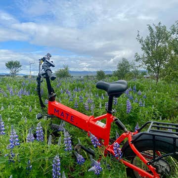 Small-Group Electric Bike Tour in Reykjavik to Fossvogsdalur & Ellidaardalur from Nautholsvik Beach