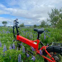 Small-Group Electric Bike Tour in Reykjavik to Fossvogsdalur & Ellidaardalur from Nautholsvik Beach