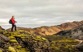 Action-Packed 5-Hour Hiking and Hot Springs Tour of Landmannalaugar