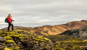 5-Hour Hiking and Hot Springs Tour of Landmannalaugar