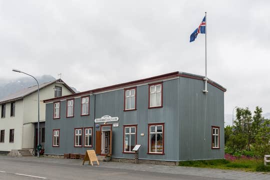 Westfjords Shore Excursion to Dynjandi Waterfall and Iceland's Oldest Bookshop from Isafjordur
