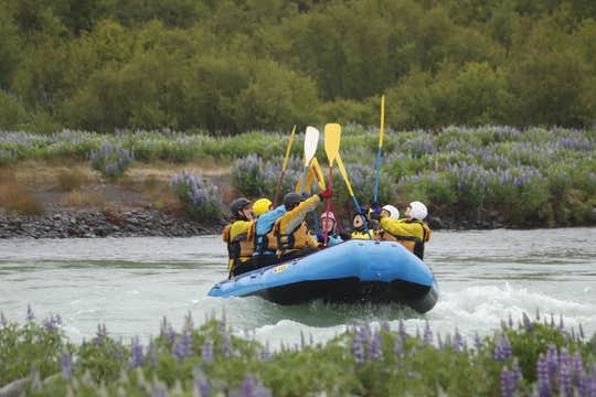 Whale Watching & River Rafting Tour from Reykjavik