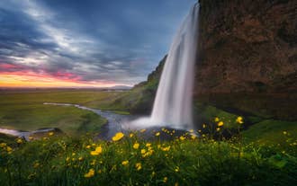 Seljalandsfoss-waterval in Zuid-IJsland met weelderig groene kliffen en neerstortend water.
