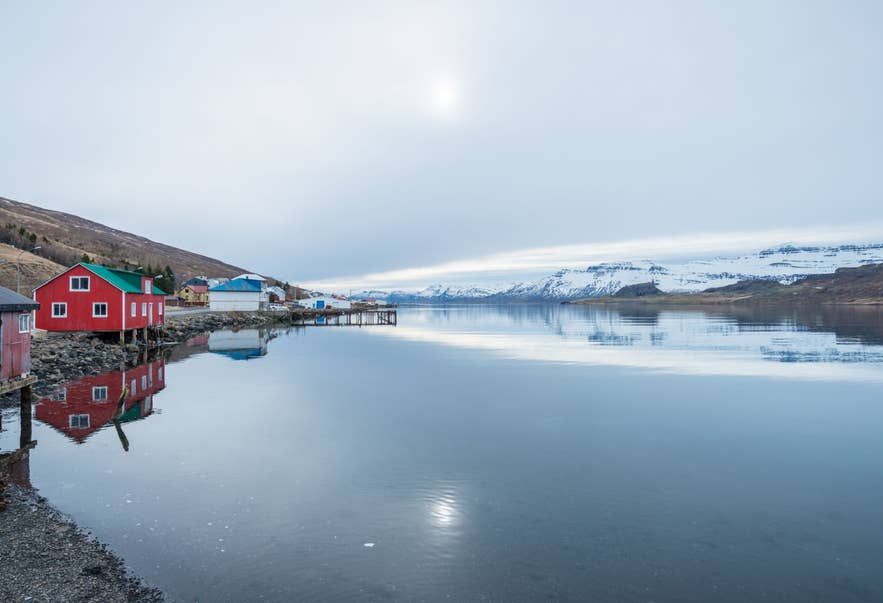 East Iceland coast with calm fjord waters, snowy mountains, and colorful seaside houses in winter