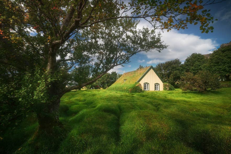 Historic turf-roofed church in Iceland sits beneath a tree, surrounded by lush green grass and summer skies in a peaceful setting.