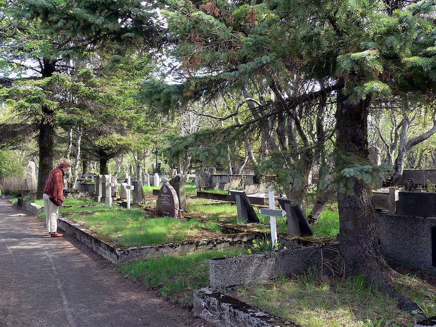 Gravestones and tall trees line the paths of Holavallagardur cemetery in Reykjavik, Iceland.