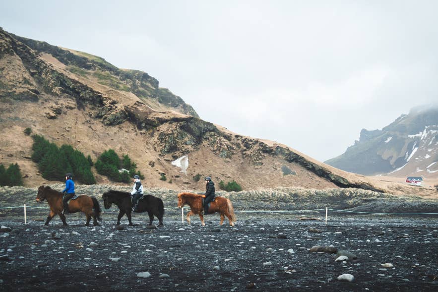 Riders crossing a black sand plain on Icelandic horses in Vik, South Iceland.