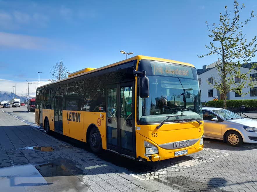 Yellow city bus stopped on a sunny street in Reykjavik, with cars, buildings, trees, and mountains in the background.