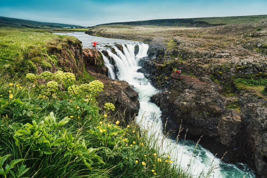 Kolugljufur Canyon with the Kolufoss Waterfall cutting through mossy cliffs in North Iceland.