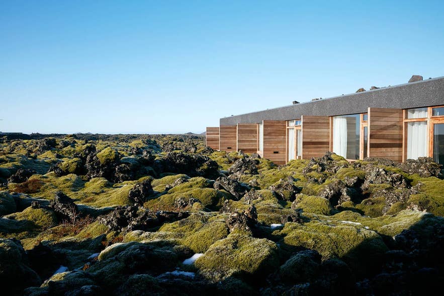 Silica Hotel at the Blue Lagoon exterior, surrounded by moss-covered lava fields.