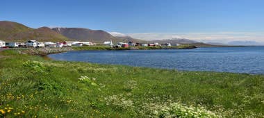 Skagi Peninsula