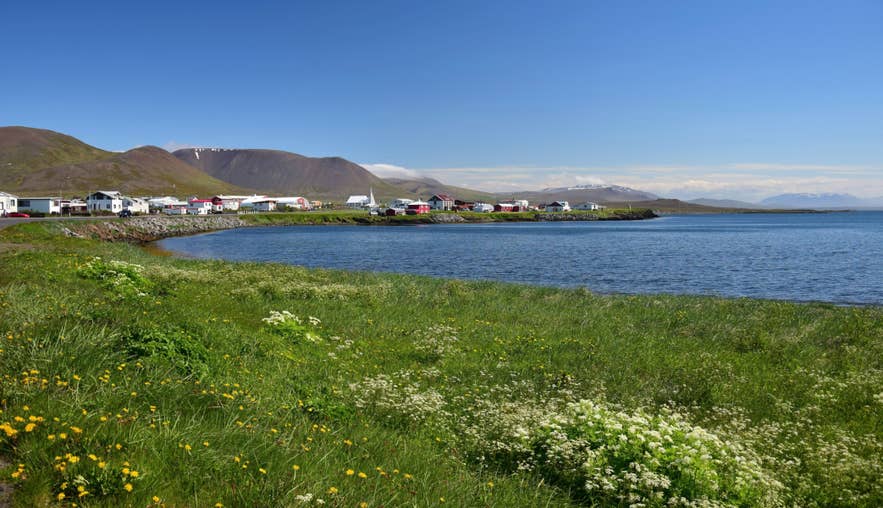 Skagaströnd town on Iceland’s Skagi Peninsula, ocean view with wildflowers in front and mountains beyond