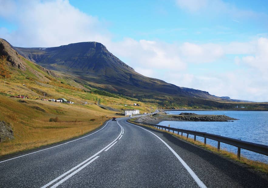 Scenic stretch of Iceland’s Ring Road curving by fjord, with mountains, grassy fields, and scattered houses.