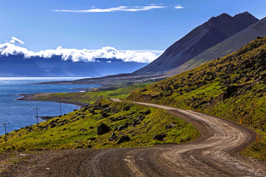 A gravel coastal road winds along a Westfjords mountainside above a calm fjord on a clear summer day.