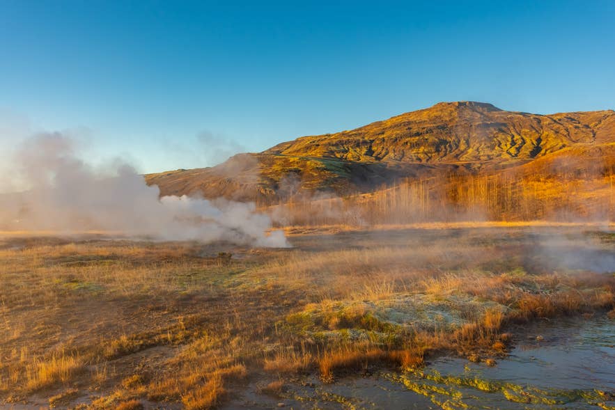 Steam rises from the Haukadalur geothermal field with golden autumn hills behind it in southwest Iceland.