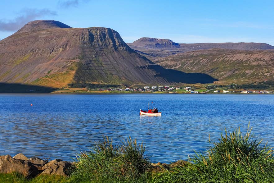 Smuk bugt med farverige huse i Isafjördur og stejle bjerge omkring.