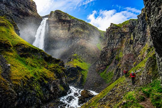 3-Day Small-Group Westfjords Tour with Dynjandi & Latrabjarg Cliffs from Reykjavik