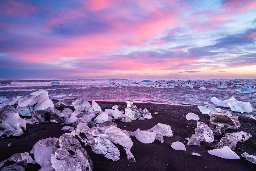 Icebergs scattered across Diamond Beach near Jokulsarlon glacier lagoon under a pink and purple sunset sky on Iceland’s South Coast. Icebergs scattered across Diamond Beach near Jokulsarlon glacier lagoon under a pink and purple sunset sky on Iceland’s South Coast.