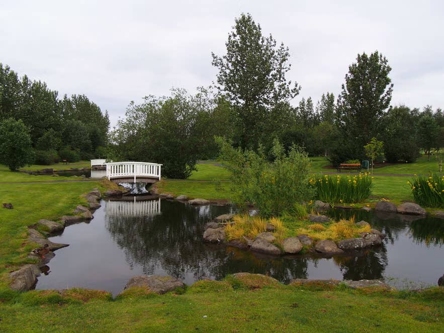 A peaceful pond with a small white bridge, landscaped islands, and lush greenery in Reykjavik Botanical Garden.