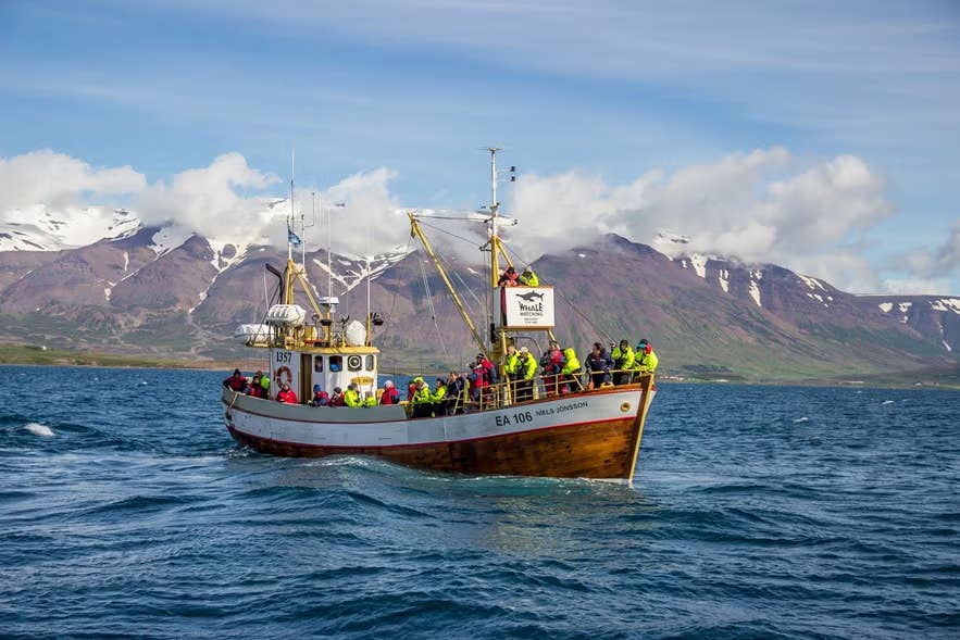 Whale-watching boat sailing through Eyjafjordur fjord with snow-capped mountains rising along the North Iceland coastline.