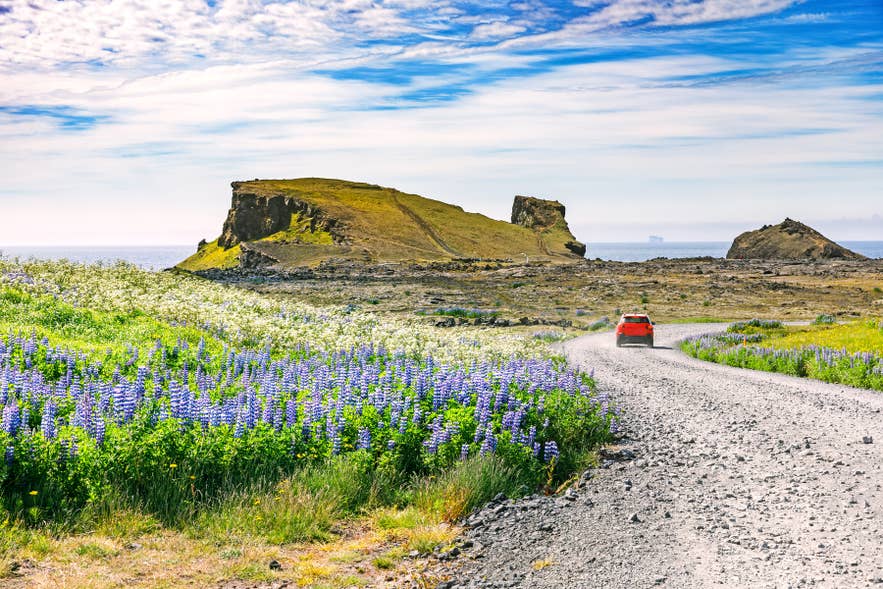Auto a noleggio sulla Ring Road vicino all'Aeroporto di Keflavik.