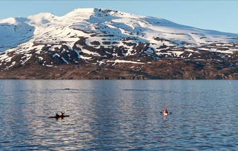 Arskogssandur Sea Kayaking Tour in North Iceland with Coastline and Wildlife Watching
