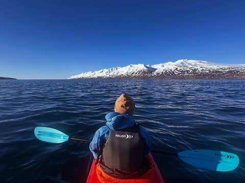 Arskogssandur Sea Kayaking Tour in North Iceland with Coastline and Wildlife Watching
