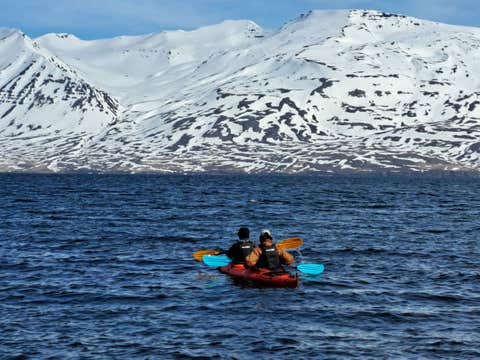 Arskogssandur Sea Kayaking Tour in North Iceland with Coastline and Wildlife Watching