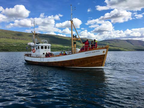 Whale Watching and Puffin Boat Tour in Hauganes with Transfer from Akureyri